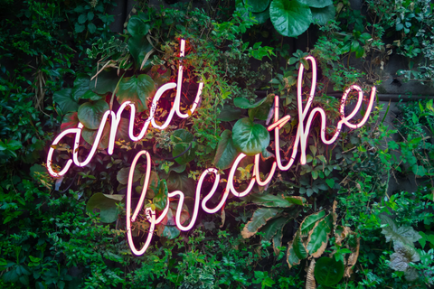 tropical green leaves with a pink neon sign saying and breathe