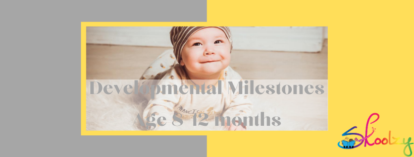 Developmental Milestones 8-12 months