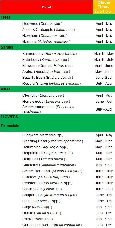 List of Flowering Plants for attracting Hummingbirds