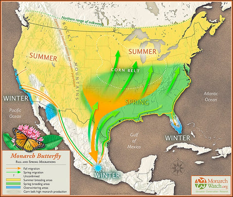 Monarch Migration in North America