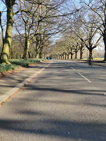 Sefton Park - minus the cars