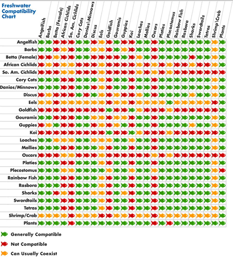 Freshwater Aquarium Fish Compatibility Chart