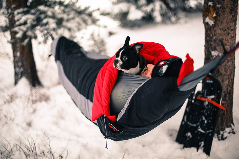 hammock sleeping pod