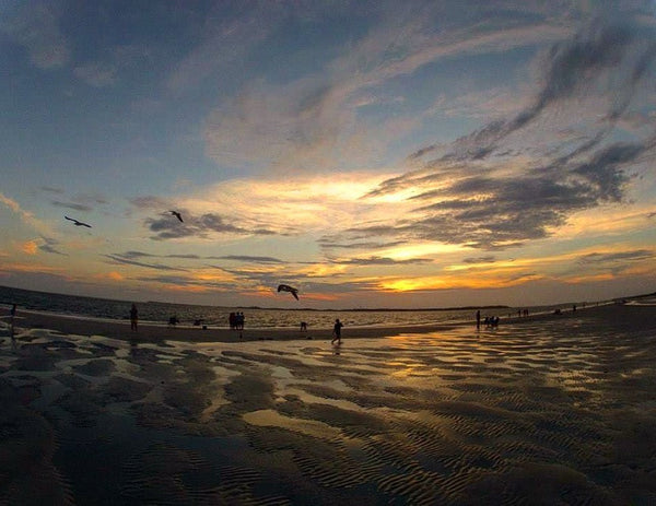 Fort McAllister State Park, Georgia