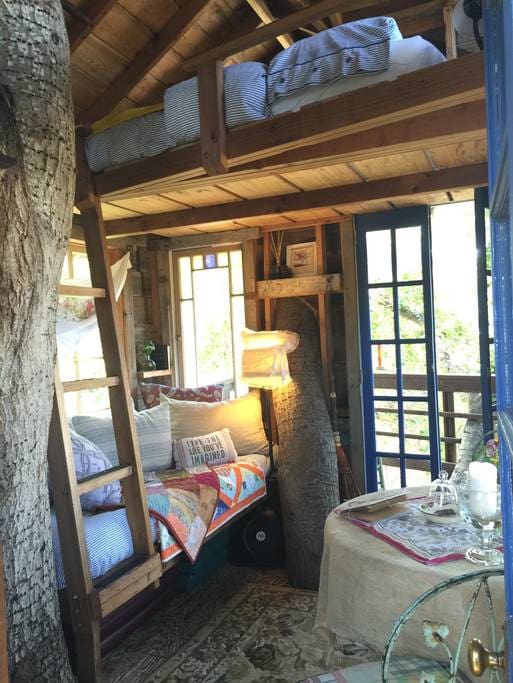 inside of a Treehouse in Burlingame, California