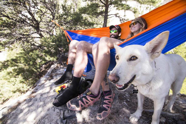 couple sitting in a hammock with their dog next to them