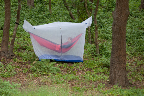 hammock enclosed in a mosquito net