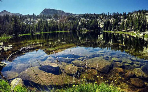 scenery of a lake, trees, and mountains, in Yosemite National Park