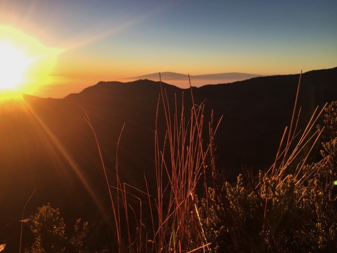 cliffside image overlooking Hosmer Grove Campground in Haleakala National Park, Maui