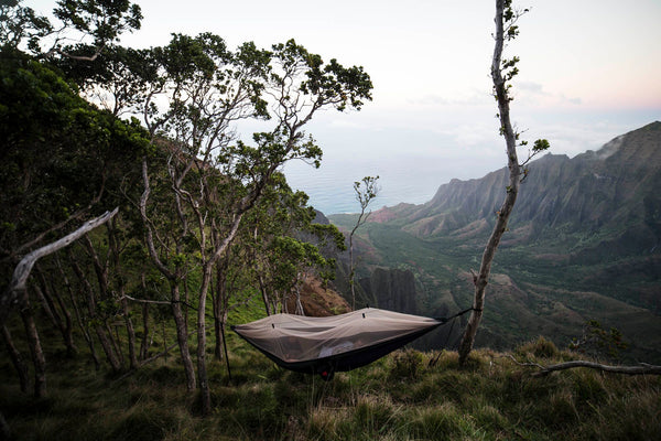 mosquito proof hammock hung on a mountain ridge