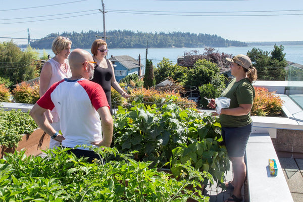 Self-Watering elevated rooftop garden. Cedar raised beds, container gardens, and veggie/vegetable gardens featuring GardenWell sub-irrigation to create wicking beds for growing your own food.