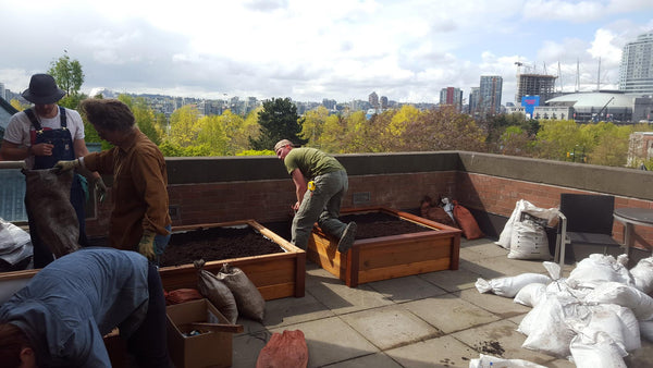 Self-Watering elevated rooftop garden. Cedar raised beds, container gardens, and veggie/vegetable gardens featuring GardenWell sub-irrigation to create wicking beds for growing your own food.