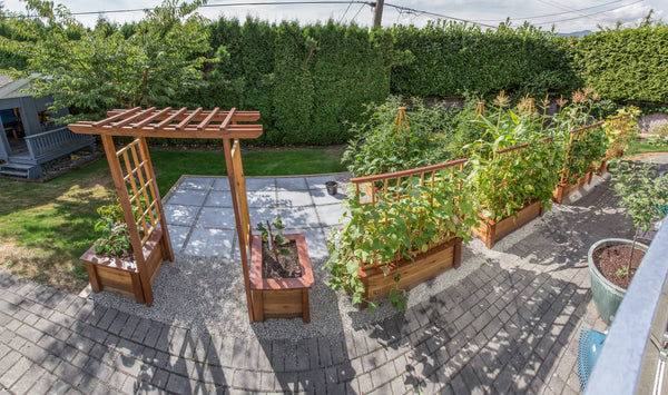 Self-Watering elevated deck, patio, and backyard garden. Cedar raised beds, container gardens, and veggie/vegetable gardens featuring GardenWell sub-irrigation to create wicking beds for growing your own food.