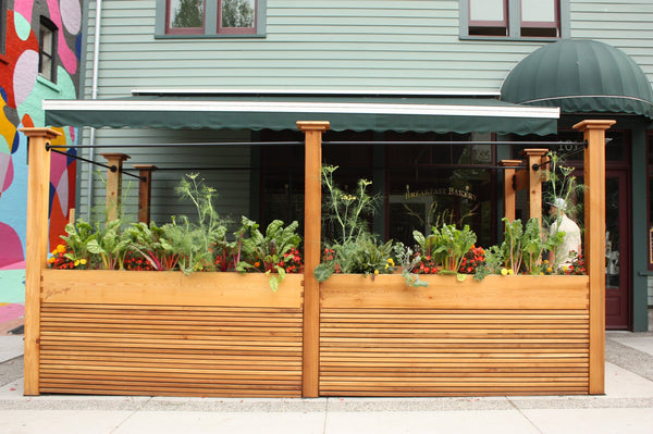 Self-Watering elevated restaurant garden. Cedar raised beds, container gardens, and veggie/vegetable gardens featuring GardenWell sub-irrigation to create wicking beds for growing your own food.