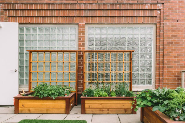 Self-Watering elevated rooftop garden. Cedar raised beds, container gardens, and veggie/vegetable gardens featuring GardenWell sub-irrigation to create wicking beds for growing your own food.