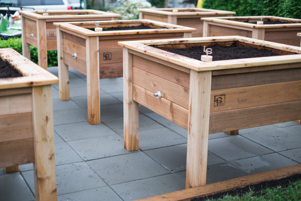 Self-Watering elevated accesibility garden. Cedar raised beds, container gardens, and veggie/vegetable gardens featuring GardenWell sub-irrigation to create wicking beds for growing your own food.