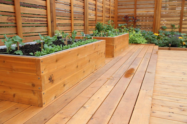 Self-Watering elevated restaurant garden. Cedar raised beds, container gardens, and veggie/vegetable gardens featuring GardenWell 