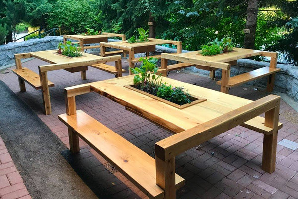 Self-Watering elevated restaurant garden. Cedar raised beds, container gardens, and veggie/vegetable gardens featuring GardenWell sub-irrigation to create wicking beds for growing your own food.