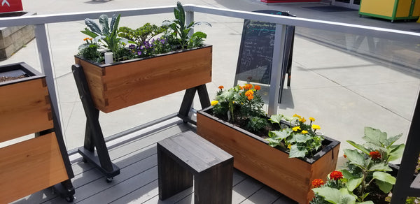 Self-Watering elevated community garden. Cedar raised beds, container gardens, and veggie/vegetable gardens featuring GardenWell sub-irrigation to create wicking beds for growing your own food.
