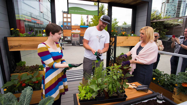 Self-Watering elevated community garden. Cedar raised beds, container gardens, and veggie/vegetable gardens featuring GardenWell sub-irrigation to create wicking beds for growing your own food.