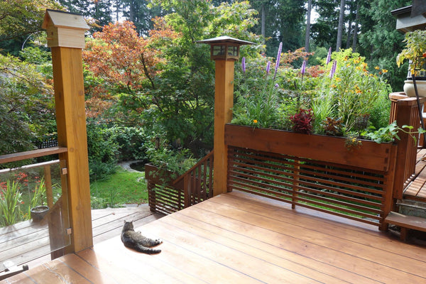 Self-Watering elevated deck, patio, and backyard garden. Cedar raised beds, container gardens, and veggie/vegetable gardens featuring GardenWell sub-irrigation to create wicking beds for growing your own food.