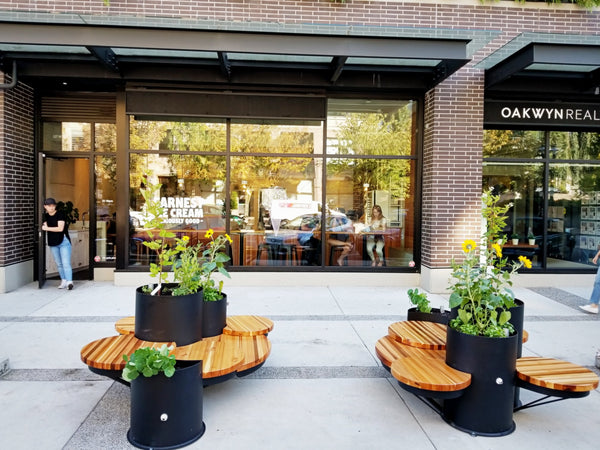 Self-Watering elevated restaurant garden. Cedar raised beds, container gardens, and veggie/vegetable gardens featuring GardenWell sub-irrigation to create wicking beds for growing your own food.