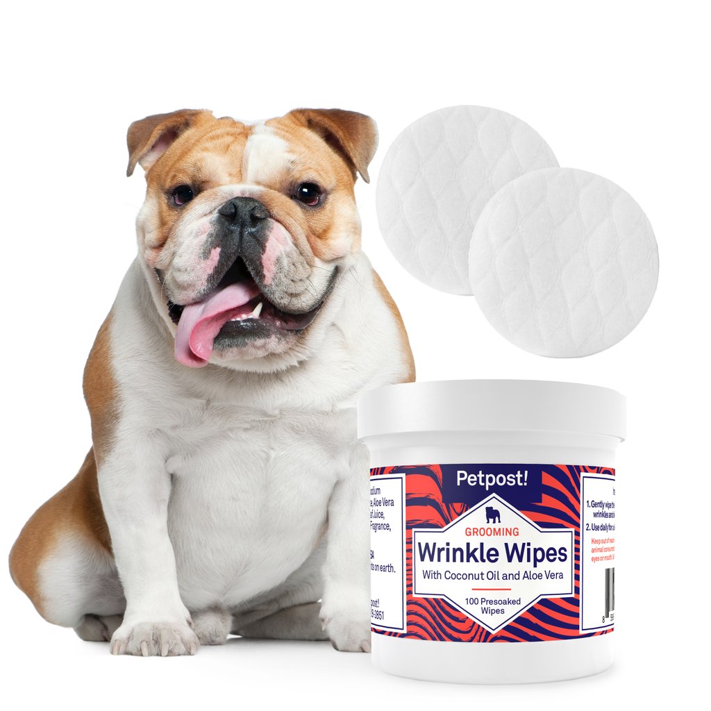 bulldog face wash