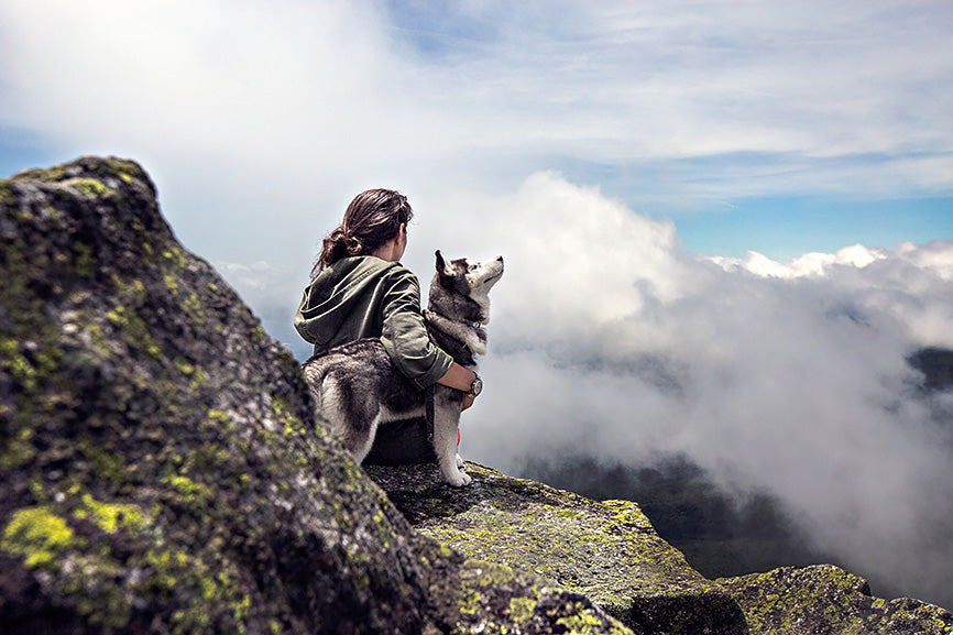 Husky on top of mountain with owner