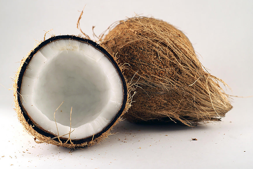 Coconut Oil for Dogs Freshly Cut on White Background