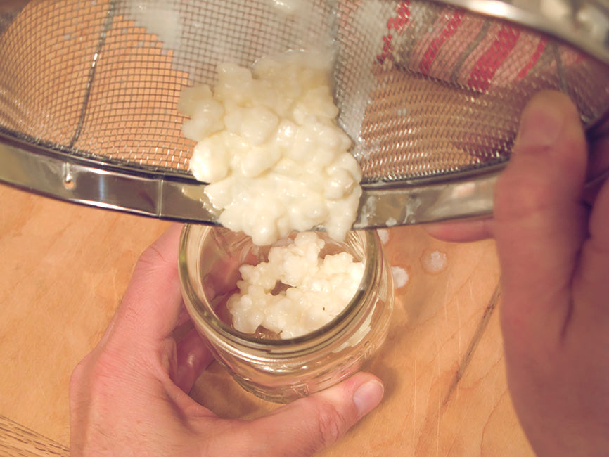 Pouring Homemade Kefir into a Jar