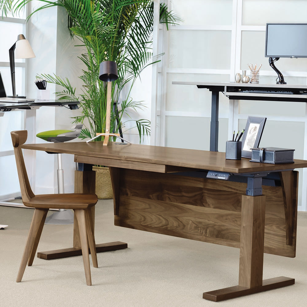 invigo sit stand desk