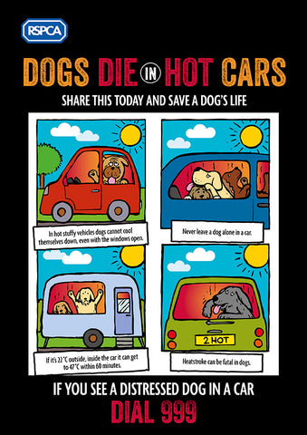 Dogs Die in Hot Cars - Important Infomation from the RSPCA