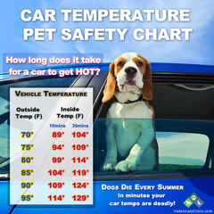 Dogs die in hot cars!!