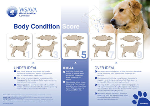 wsava body condition chart for dogs ideal weight for dogs