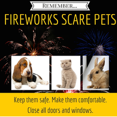 4 in 5 pet owners call for stricter fireworks laws