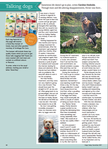 Fernie Denholm from Fernie's Choice Posh Dog Boutique tells her story in Dogs Today November Issue 2017