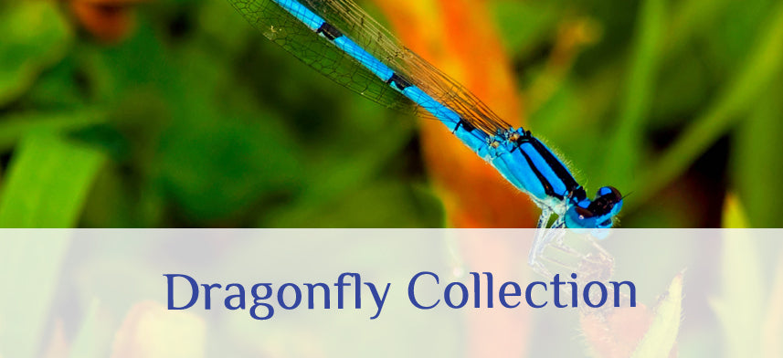 About Wall Decor's Dragonfly Collection