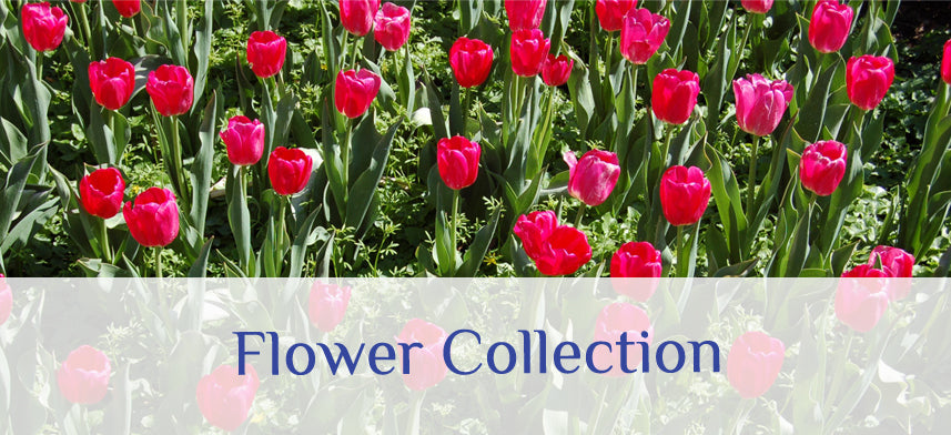 About Wall Decor's Flower Collection