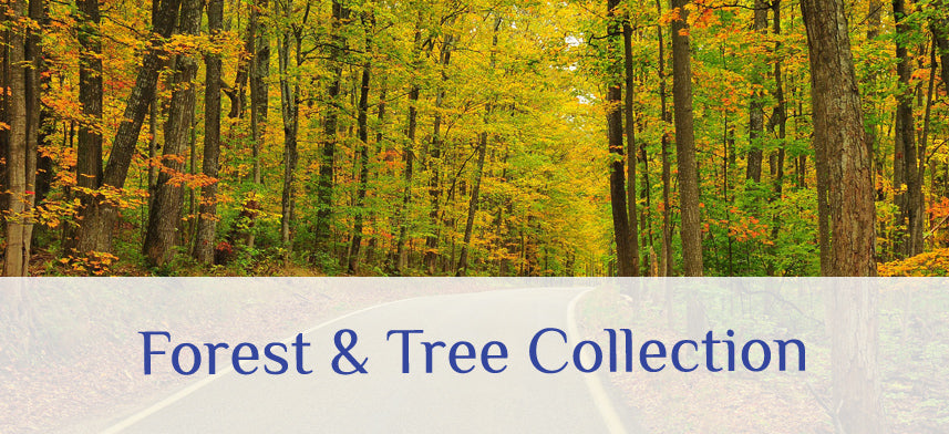 About Wall Decor's Forest & Tree Collection