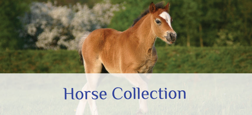 About Wall Decor's Horse Collection