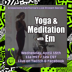 Free Yoga Meditation Live Stream
