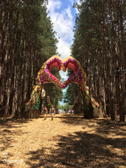 Grassroots Electric Forest