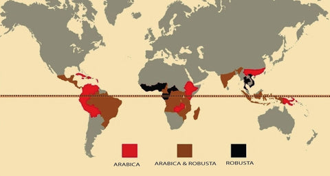Coffee regions map