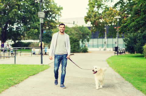 man walking dog outside