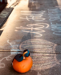 pumpkin with sunglasses