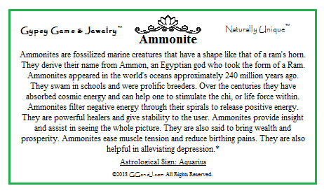 Gypsy Gems & Jewelry™ Ammonite Facts