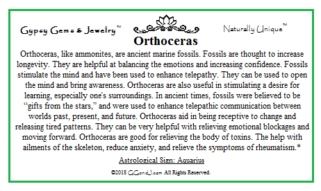 Gypsy Gems & Jewelry™ Orthoceras Facts