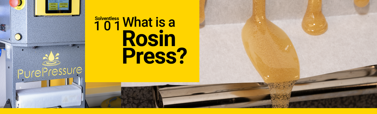 Collecting Rosin is easier when Pre-Forming Starting Material