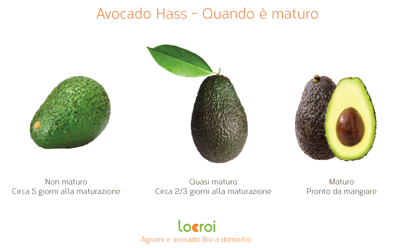 avocado quando è maturo