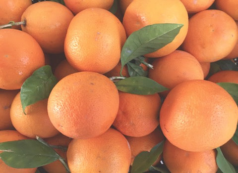 arance tarocchi